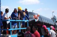 Danceparade2009 016.jpg